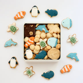 定番！海の生き物たちのクッキー缶